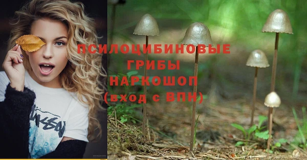 ПСИЛОЦИБИНОВЫЕ ГРИБЫ Валдай