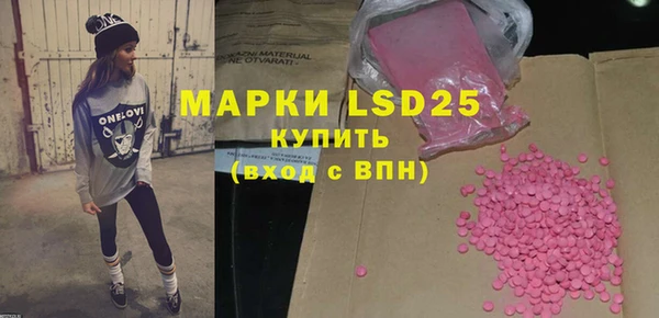 ПСИЛОЦИБИНОВЫЕ ГРИБЫ Валдай
