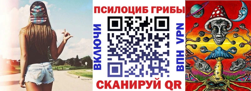 Галлюциногенные грибы Psilocybe Дальнереченск