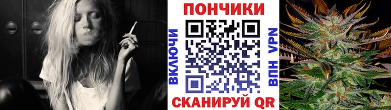 Шишки марихуана семена цены МЕГА tor Дальнереченск